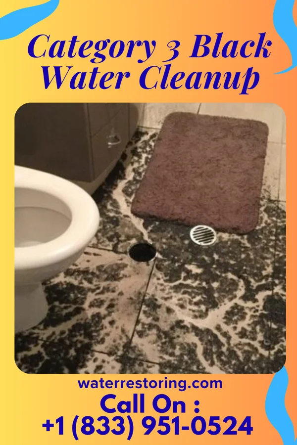 Category 3 Black Water Cleanup in Lake Latonka, PA