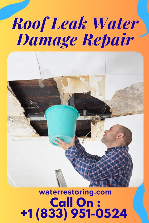 Roof Leak Water Damage Repair in Lake Latonka, PA
