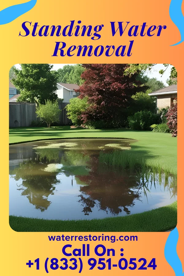 Standing Water Removal in Lake Latonka, PA